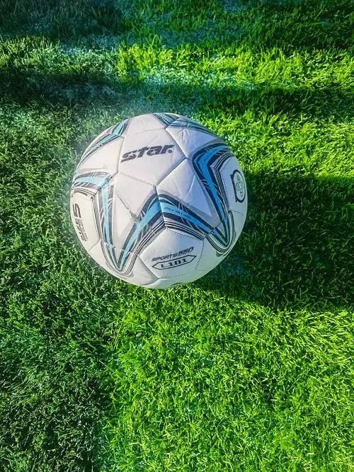 雷速体育app多平台支持